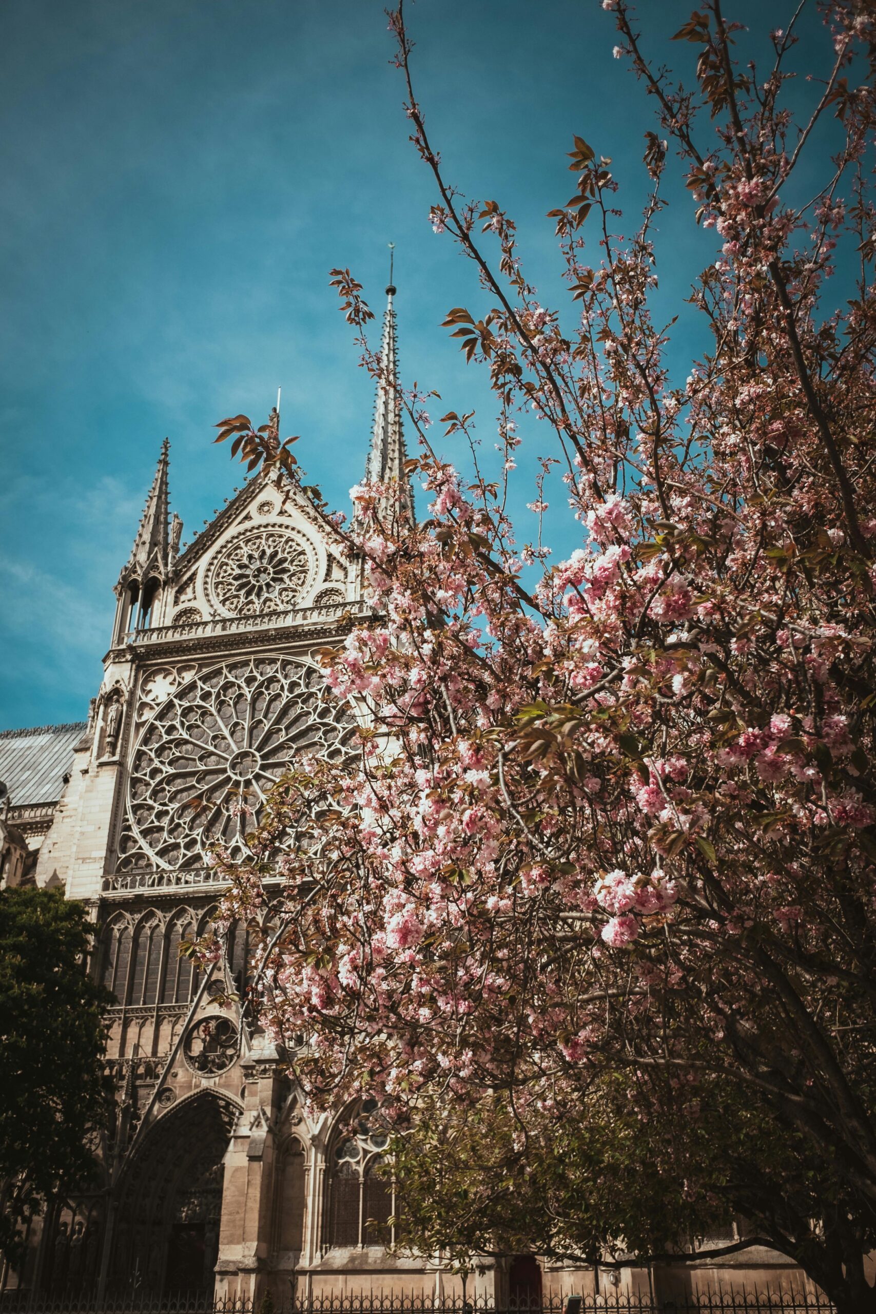 Front facade of Notre Dame Cathedral in Paris